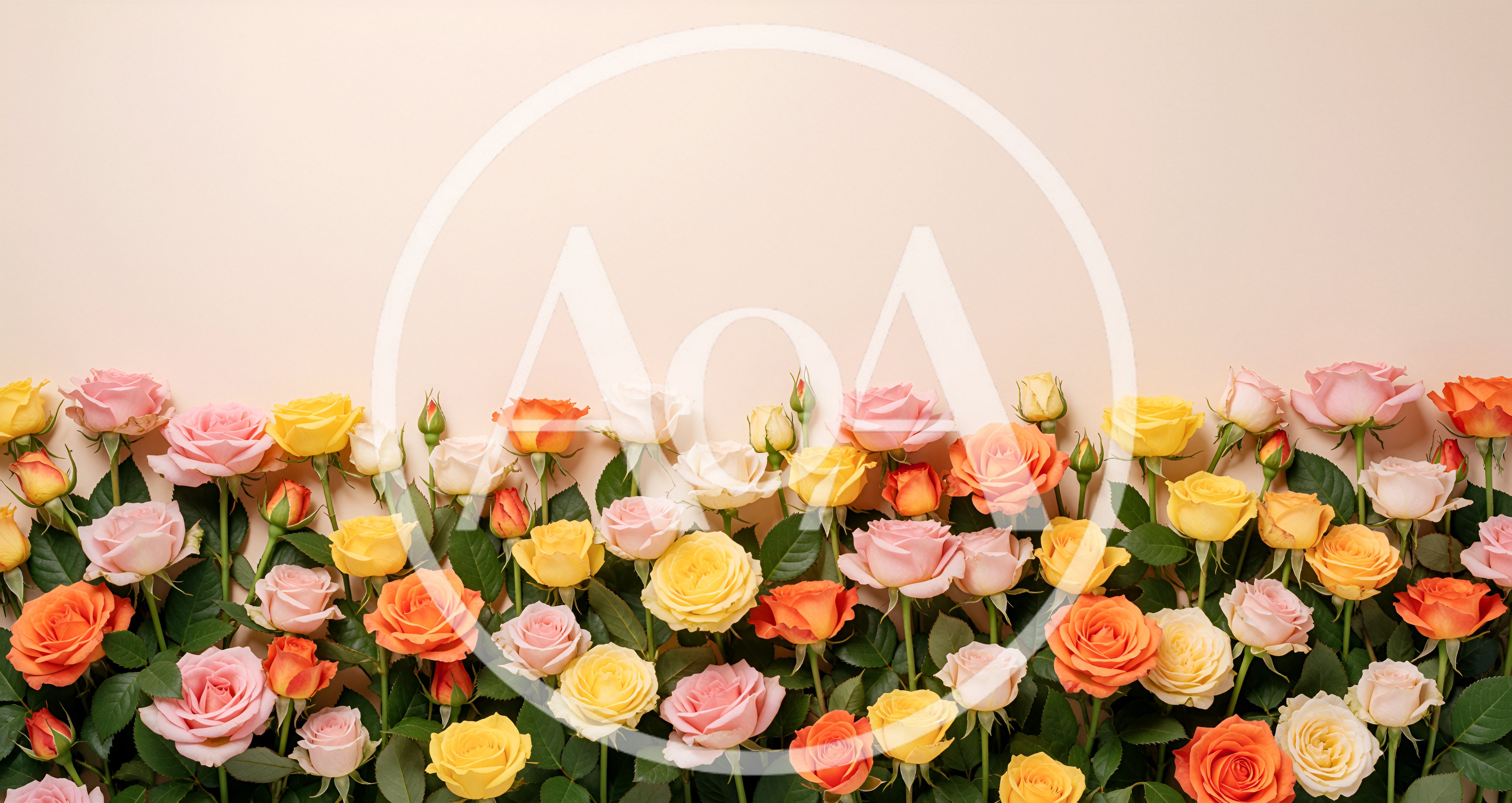 Colorful Rose Bouquet Border on Beige Background
