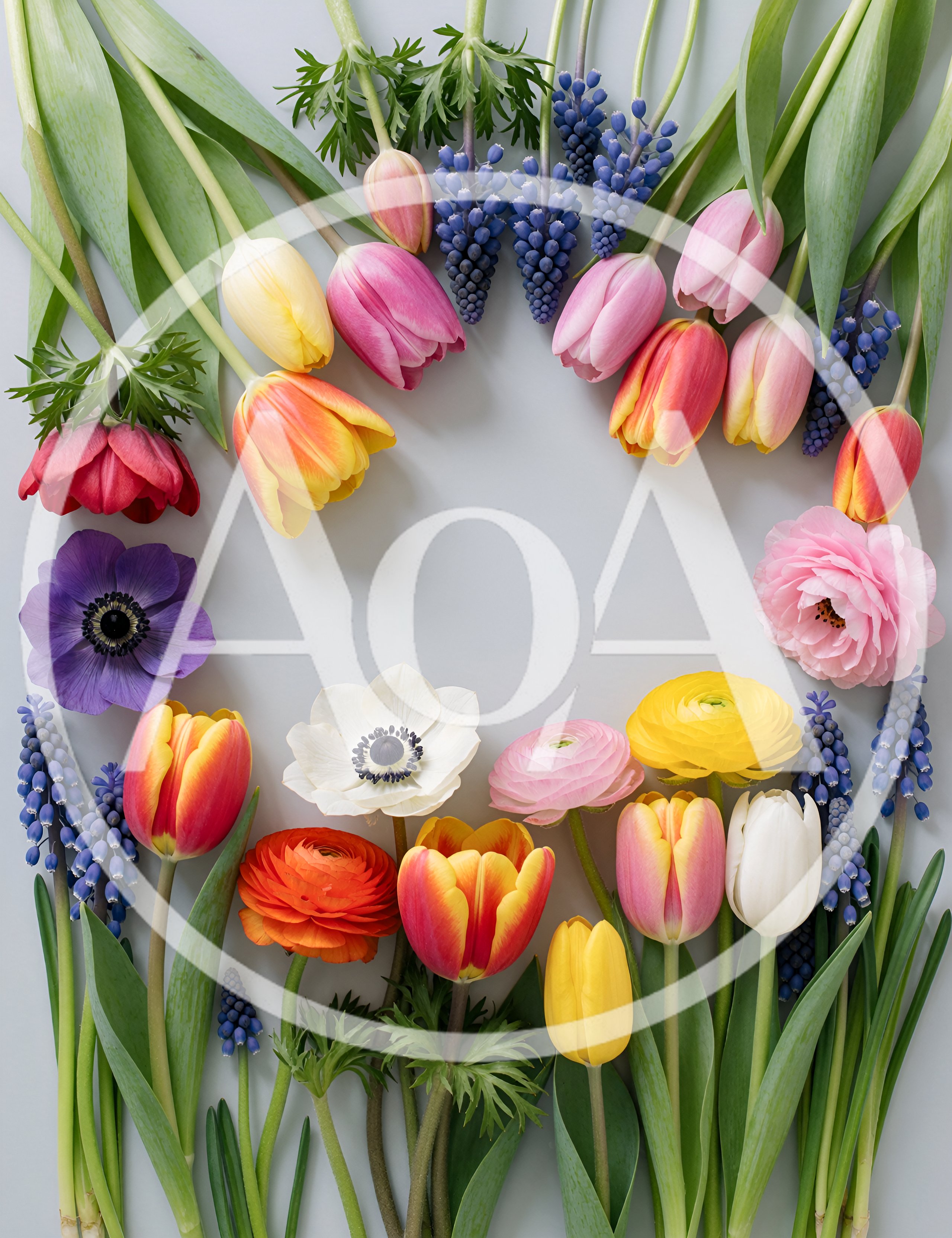 Spring Flower Arrangement Flat Lay on Grey Background