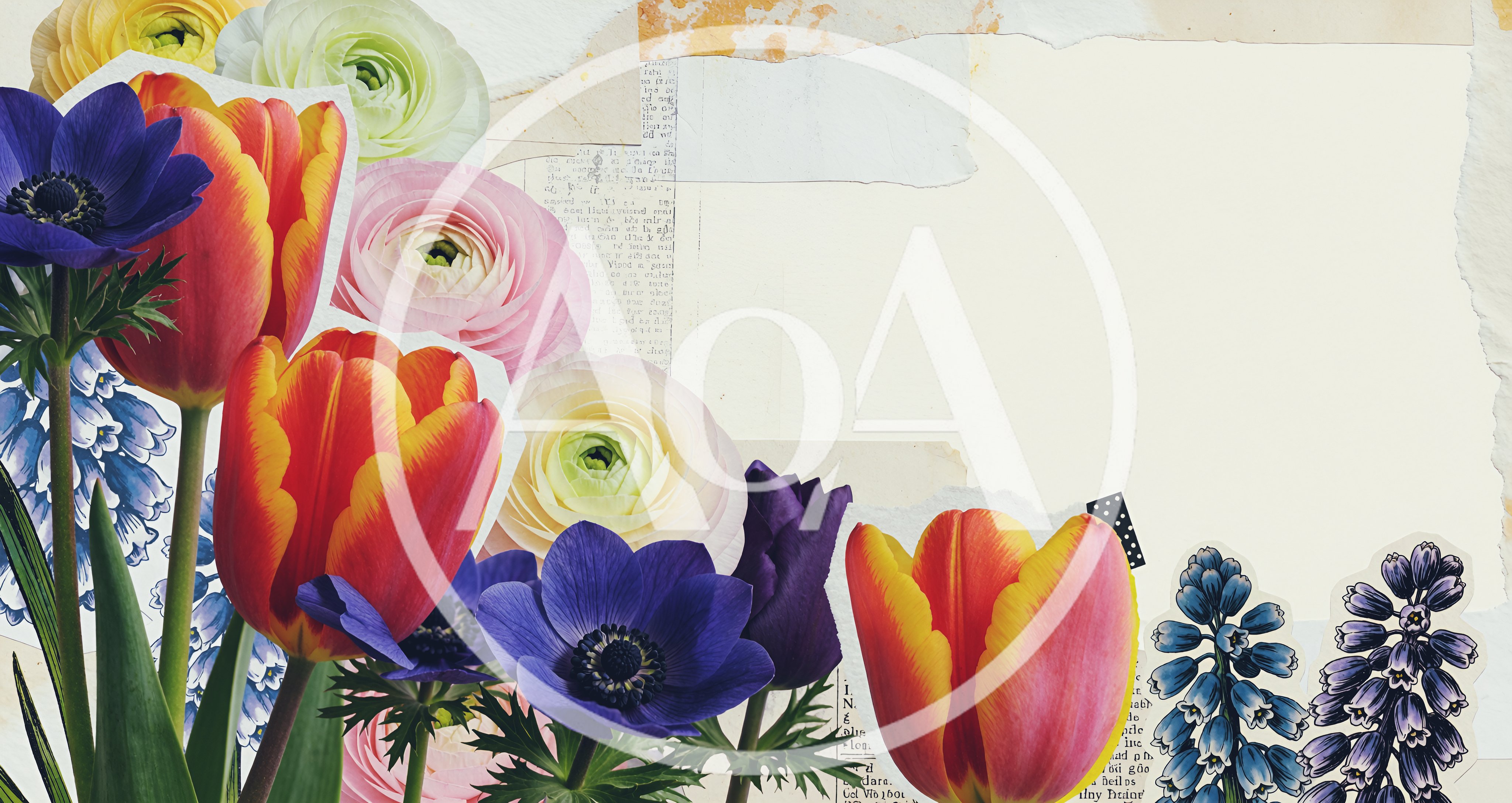 Floral Collage Background With Spring Flowers And Paper Texture