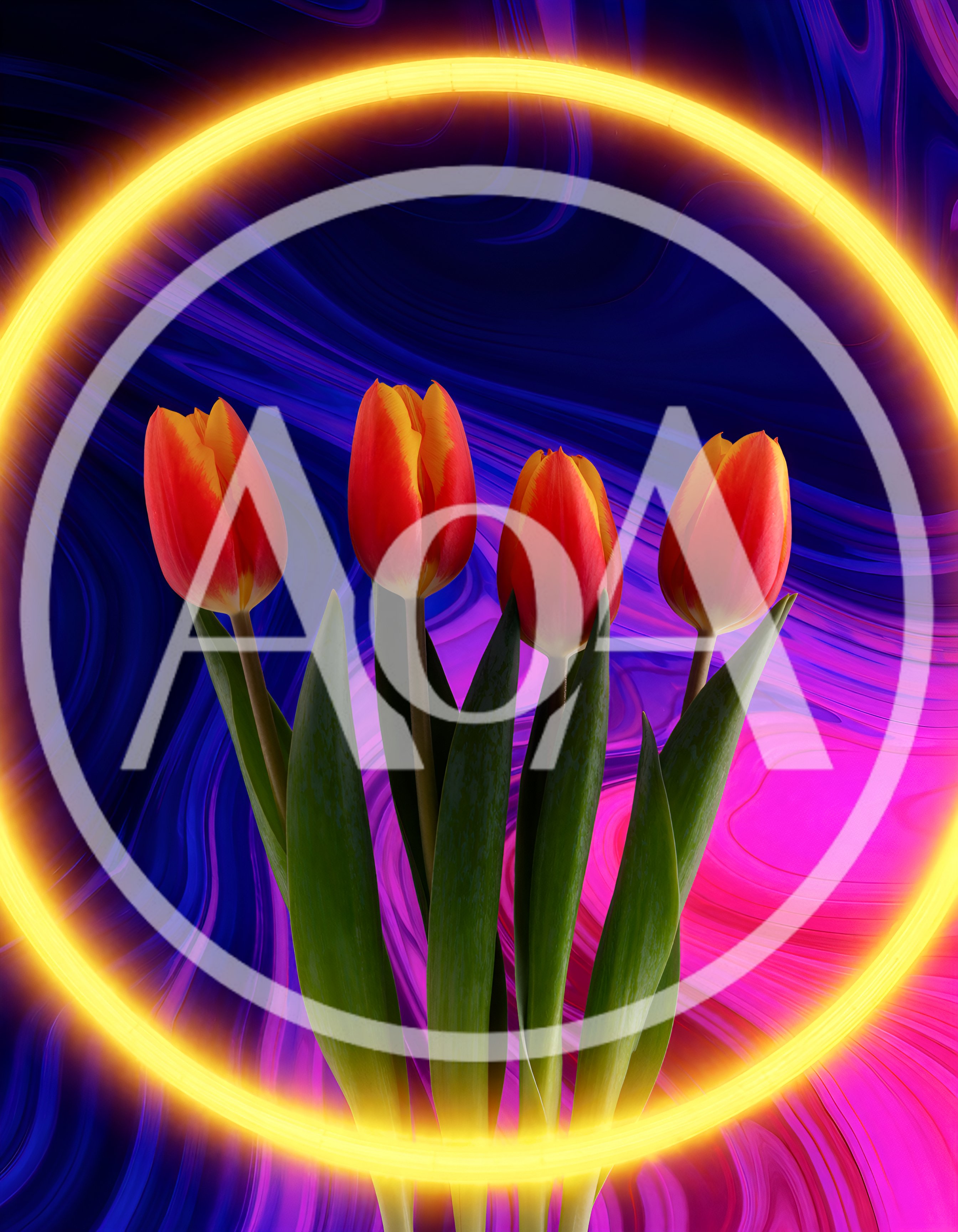 Four Red And Yellow Tulips Inside A Neon Ring