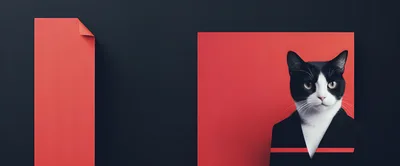 Professional Tuxedo Cat Portrait Against Red And Black Background