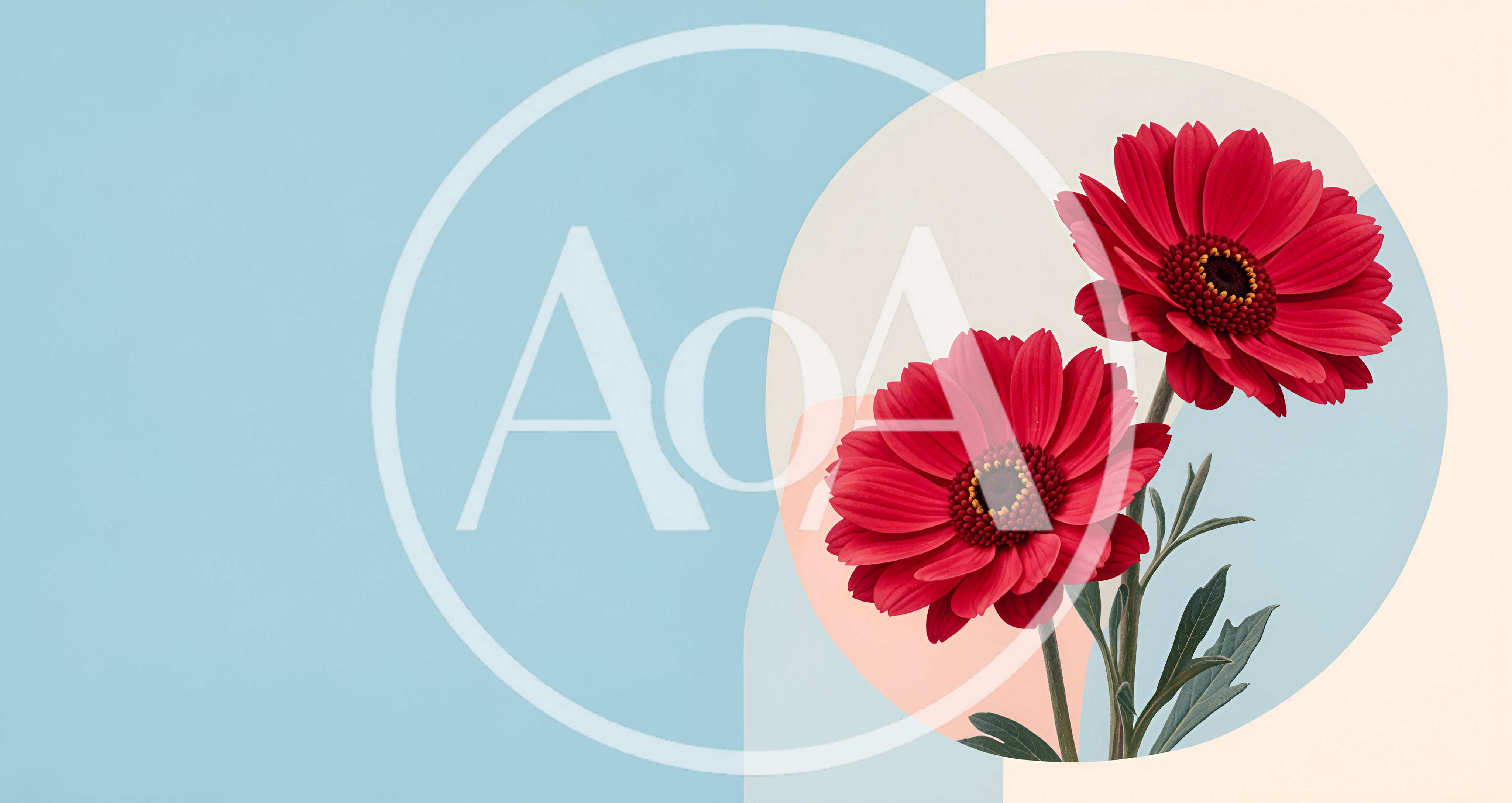 Two Vibrant Red Gerbera Daisy Flowers