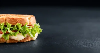 Toasted Ham and Cheese Sandwich on Dark Background