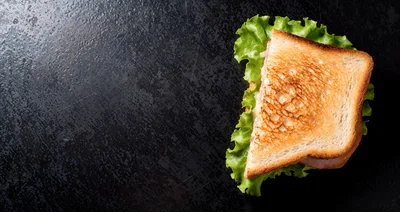 Toasted Ham and Cheese Sandwich on Dark Background