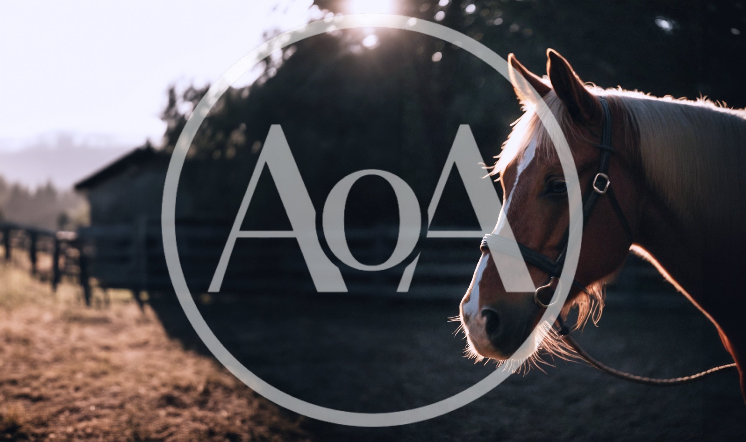 Portrait Of A Horse In A Golden Hour Pasture