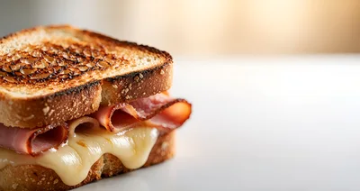 Toasted Ham and Melted Cheese Sandwich