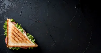 Toasted Ham and Cheese Sandwich on Dark Background
