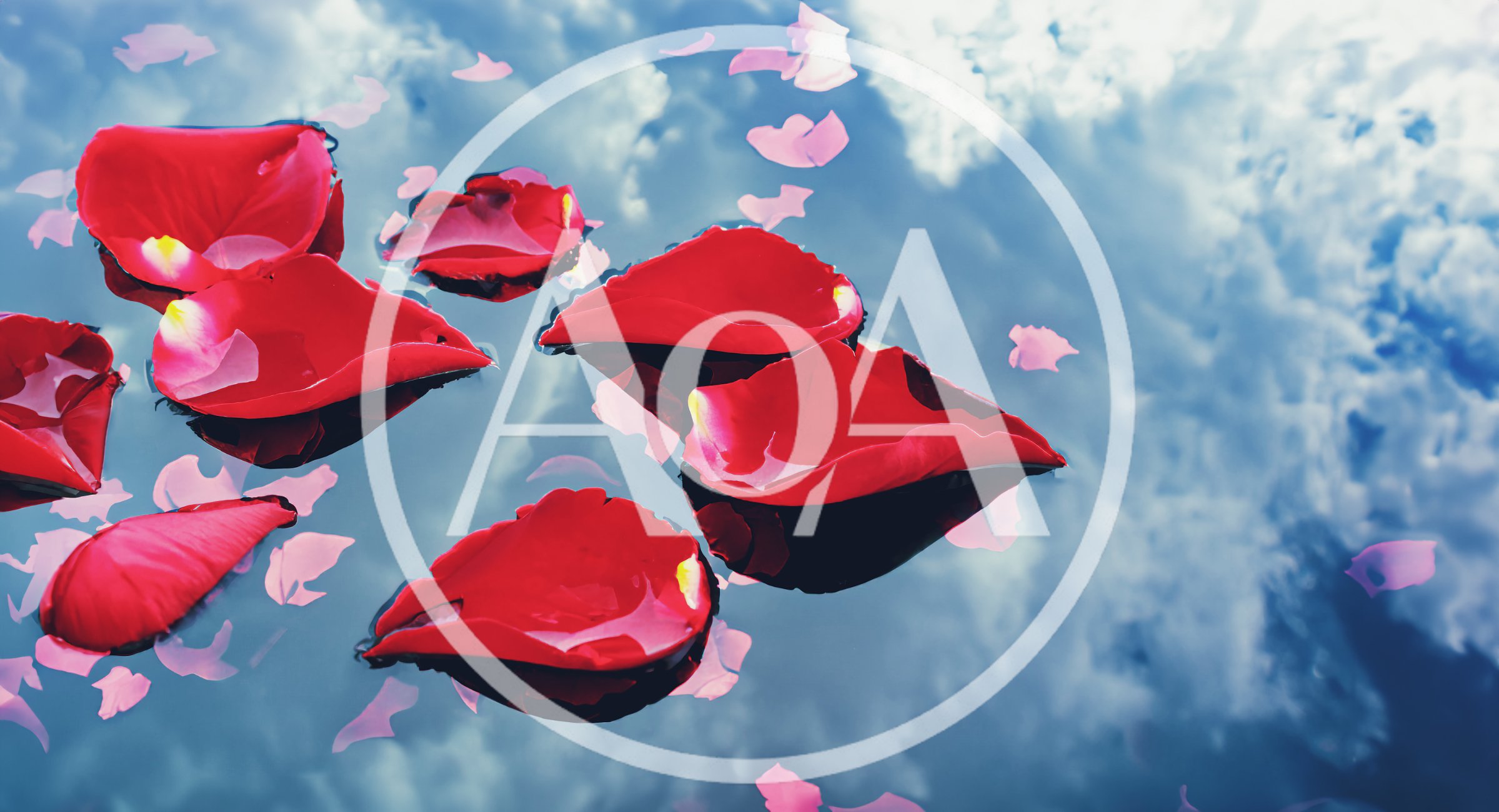 Red Rose Petals Floating On Reflective Water Surface