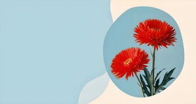Two Vibrant Red Gerbera Daisies on Abstract Background