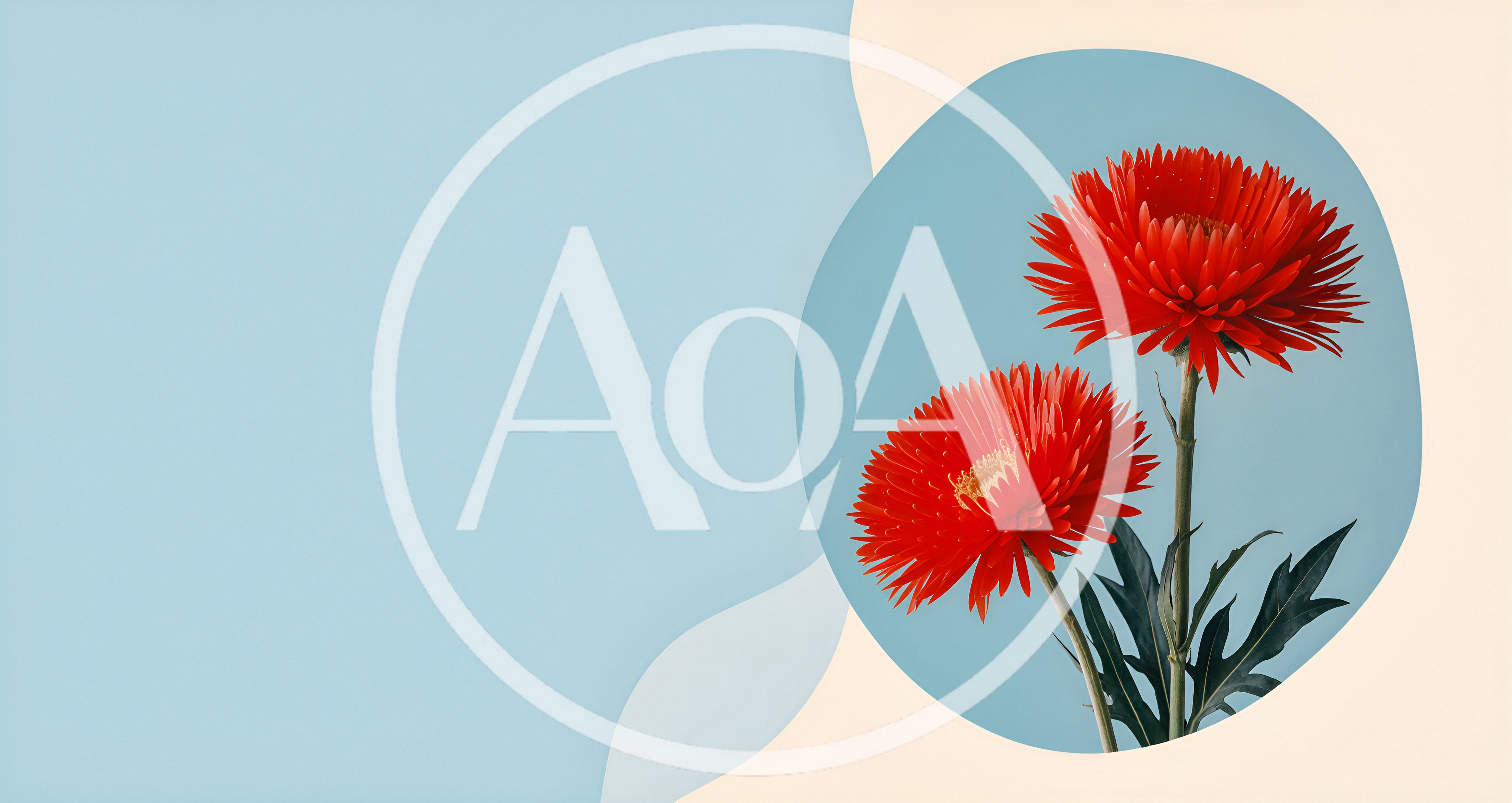 Two Vibrant Red Gerbera Daisies on Abstract Background