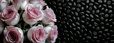 Pink Roses Arranged Beside Black Polished Stones