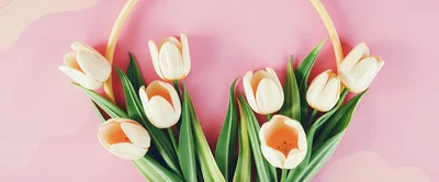 Cream Tulips Arranged Around A Circular Frame