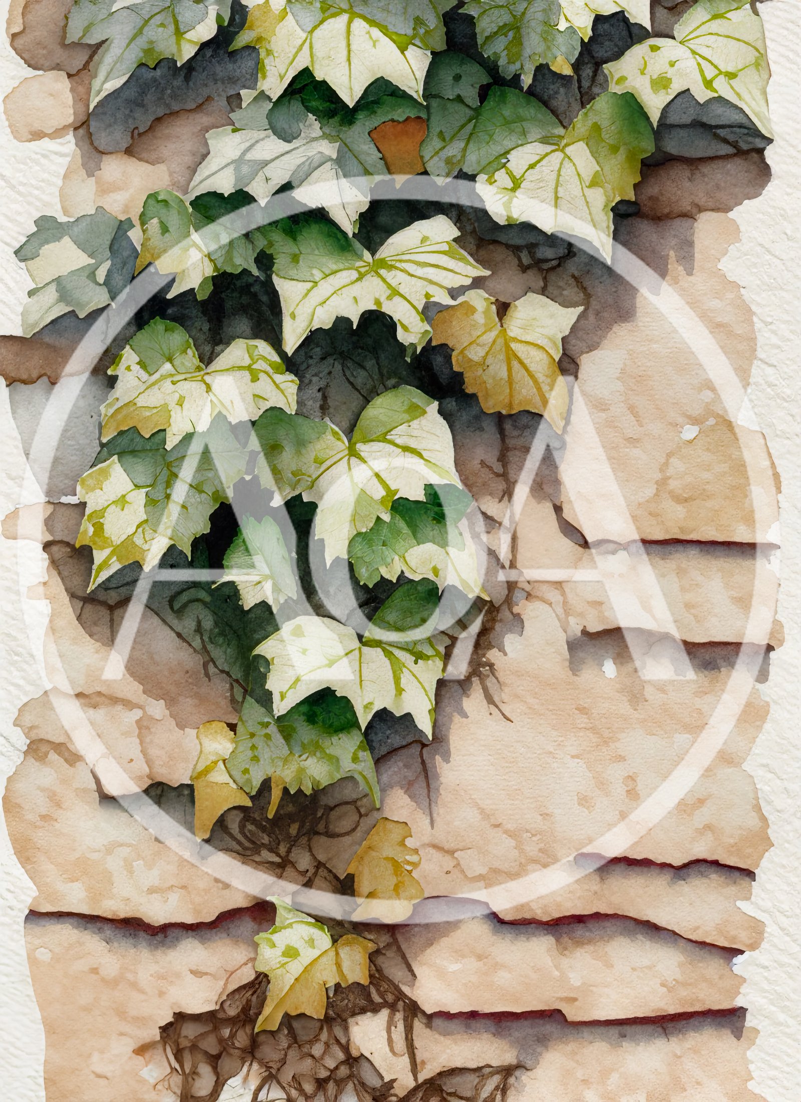 Watercolor Painting Of Ivy Climbing A Stone Wall