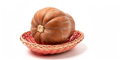 Large Orange Pumpkin Resting In A Woven Basket
