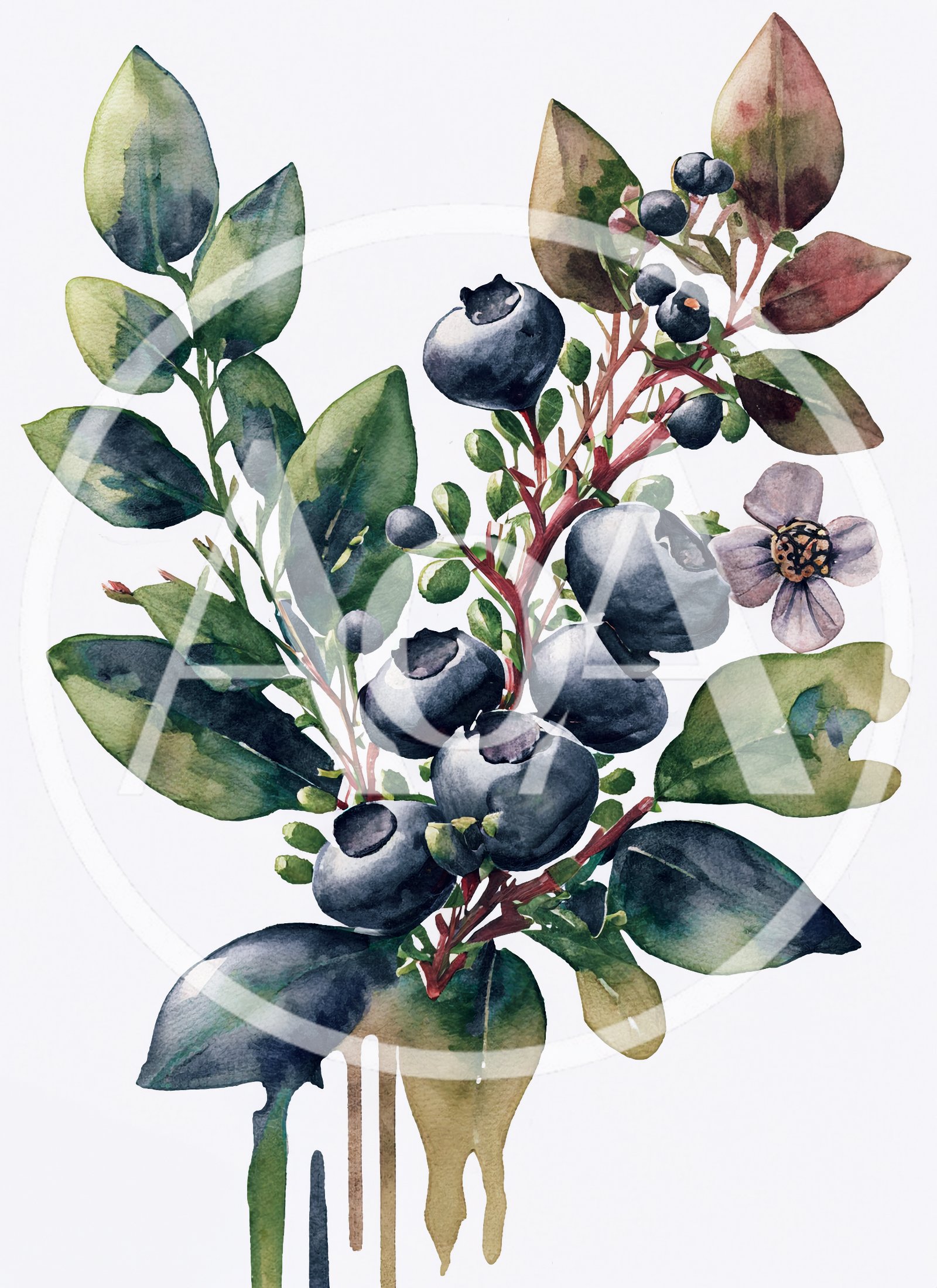 Watercolor Illustration Of Blueberry Branch With Leaves And Flower