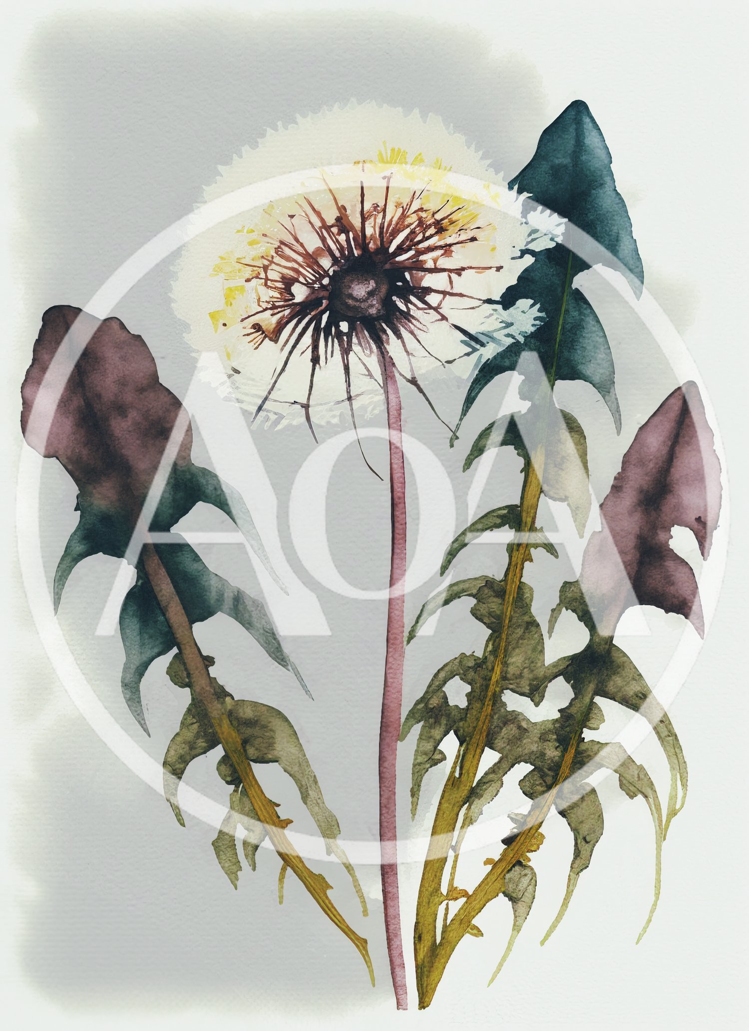 Watercolor Painting Of A Dandelion With Leaves