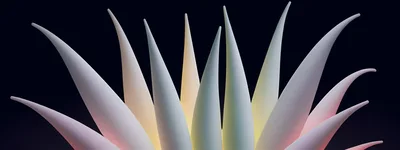 Abstract 3D Rendered Spiky Plant Form