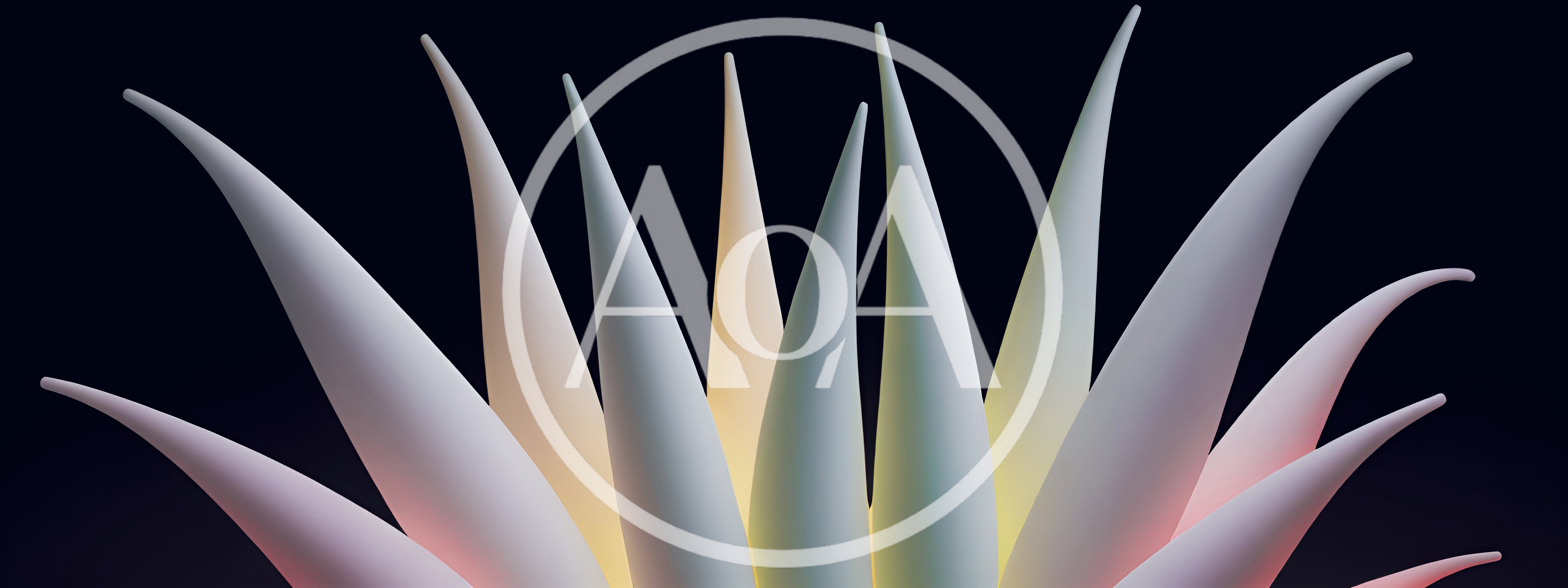 Abstract 3D Rendered Spiky Plant Form