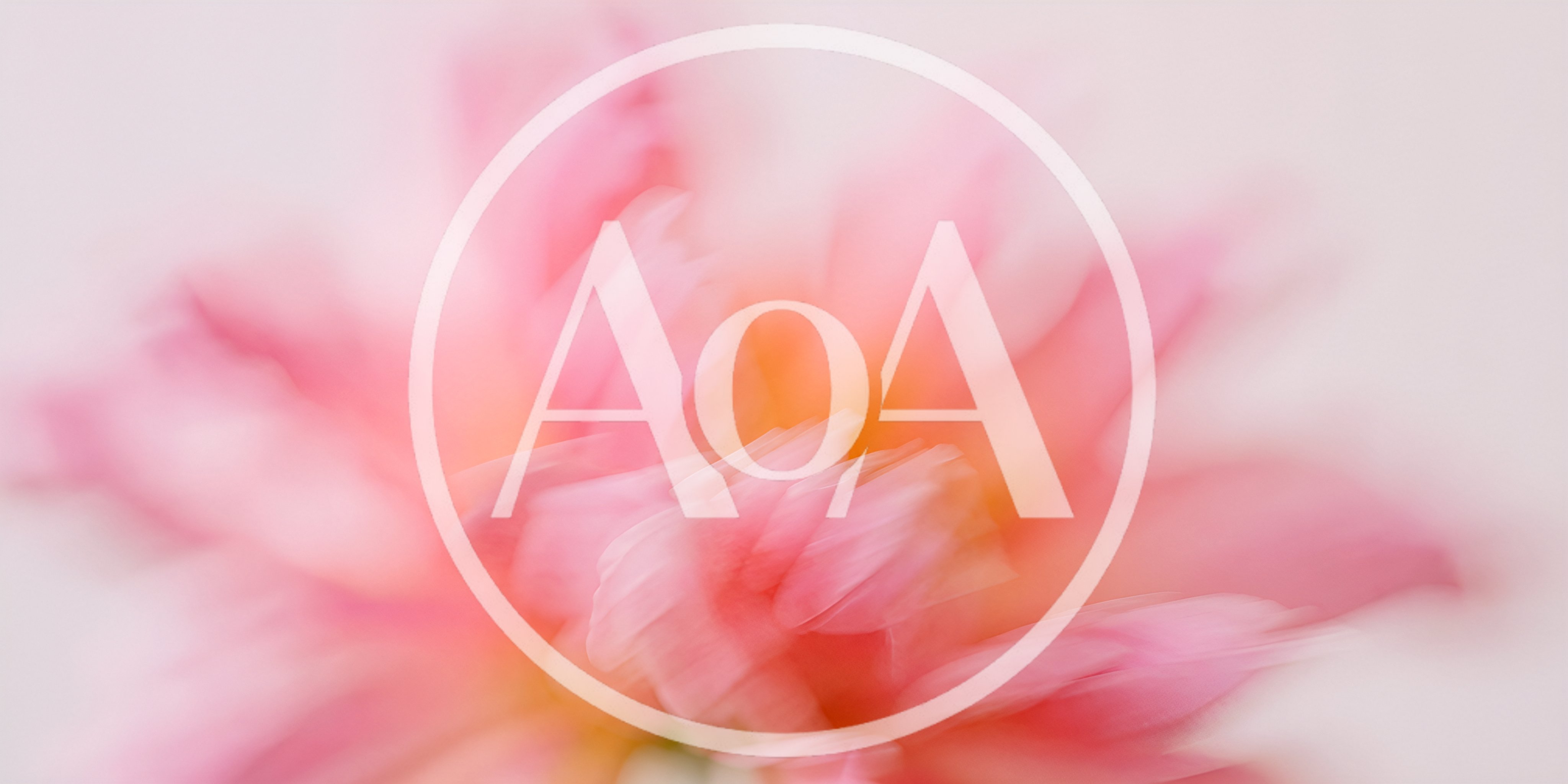 Abstract Soft Focus Pink Flower Petals