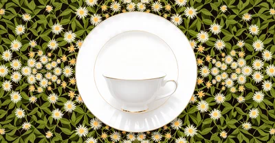 White Tea Cup and Saucer on Floral Background