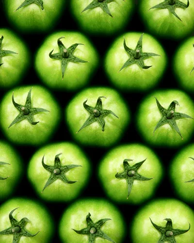 Top View Of Fresh Green Tomatoes In A Grid