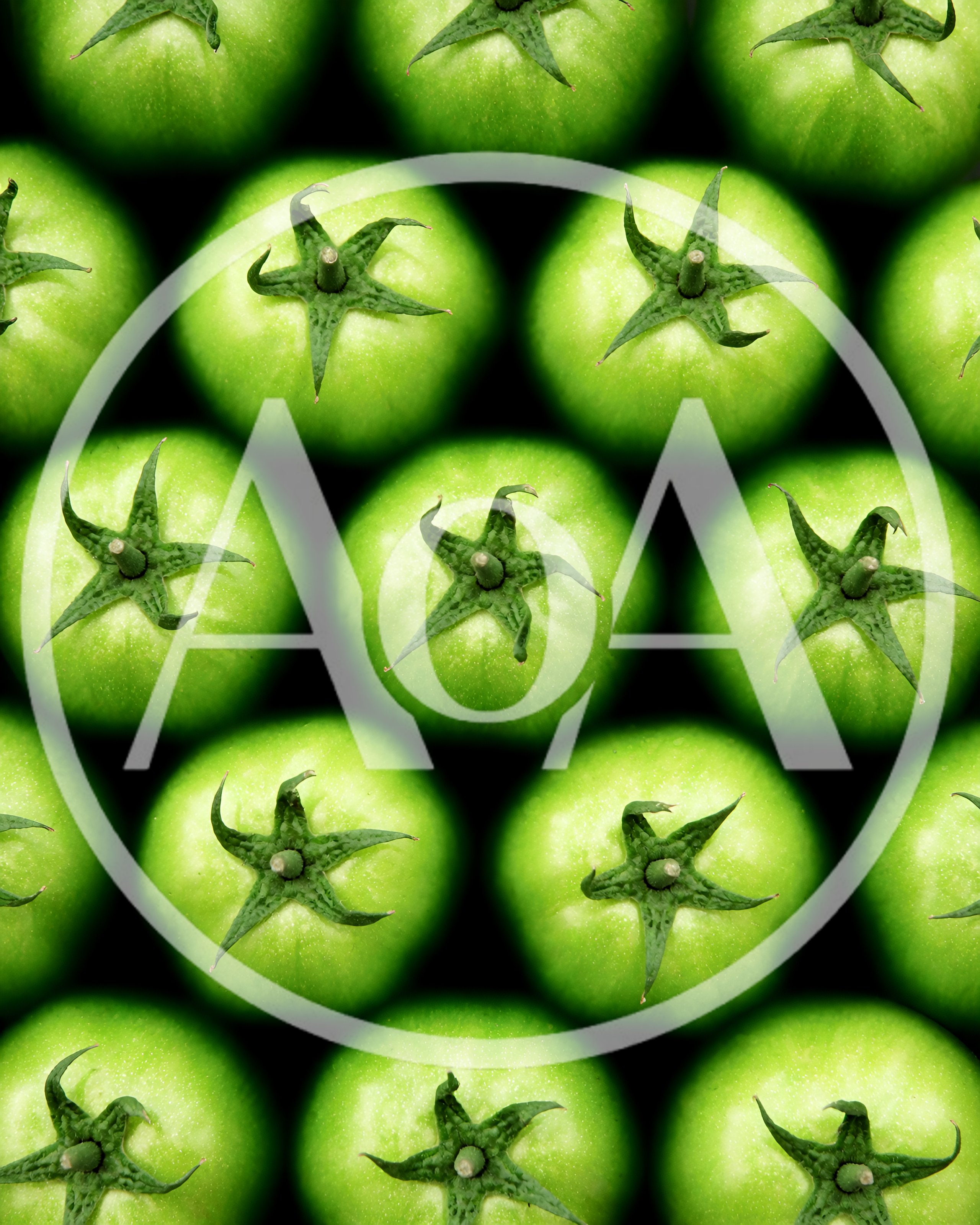 Top View Of Fresh Green Tomatoes In A Grid