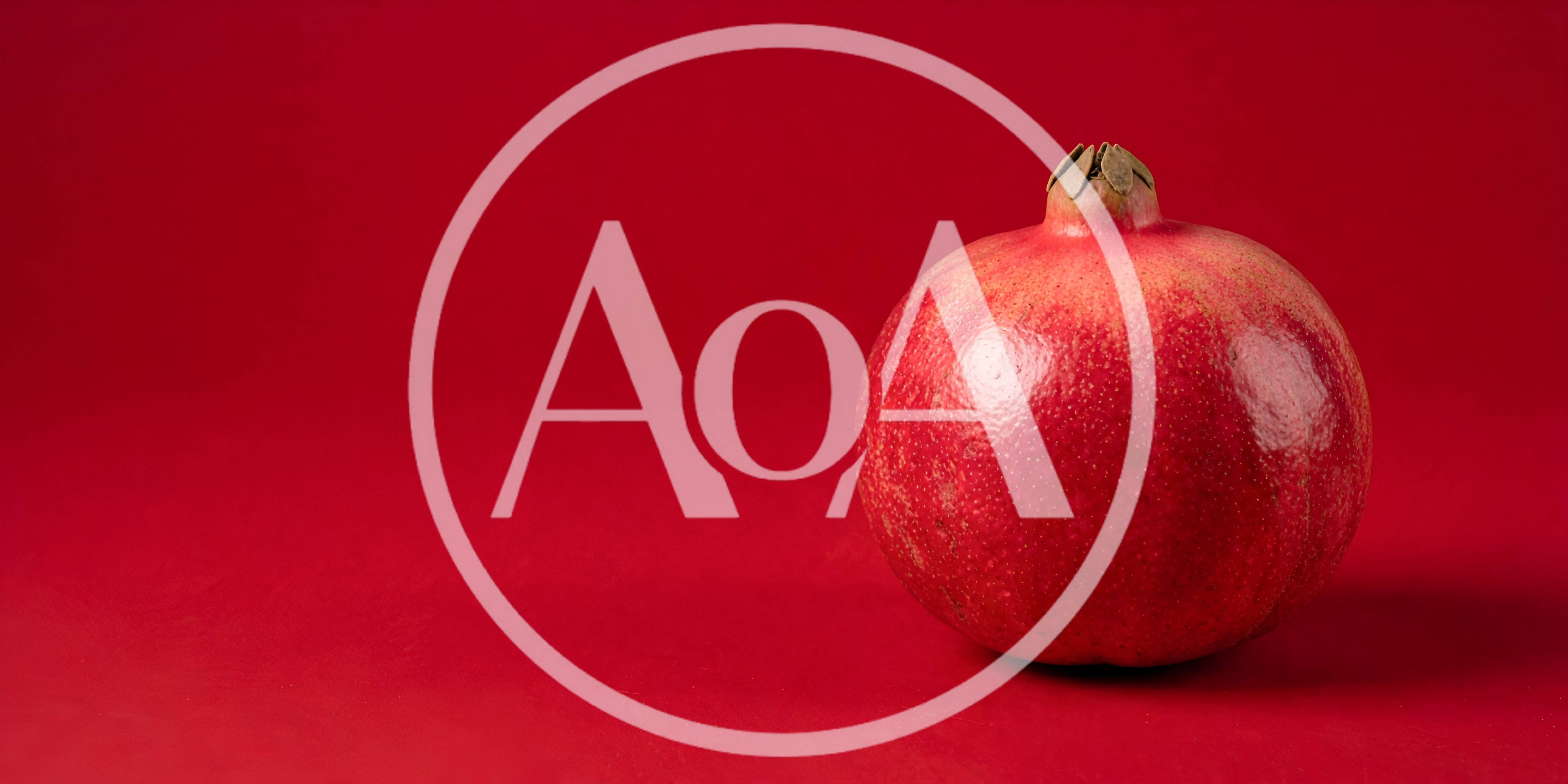 Single Fresh Pomegranate Fruit on Red Background