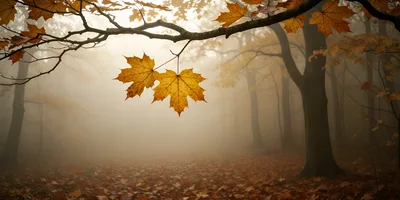 Two Golden Maple Leaves Hanging In A Misty Forest