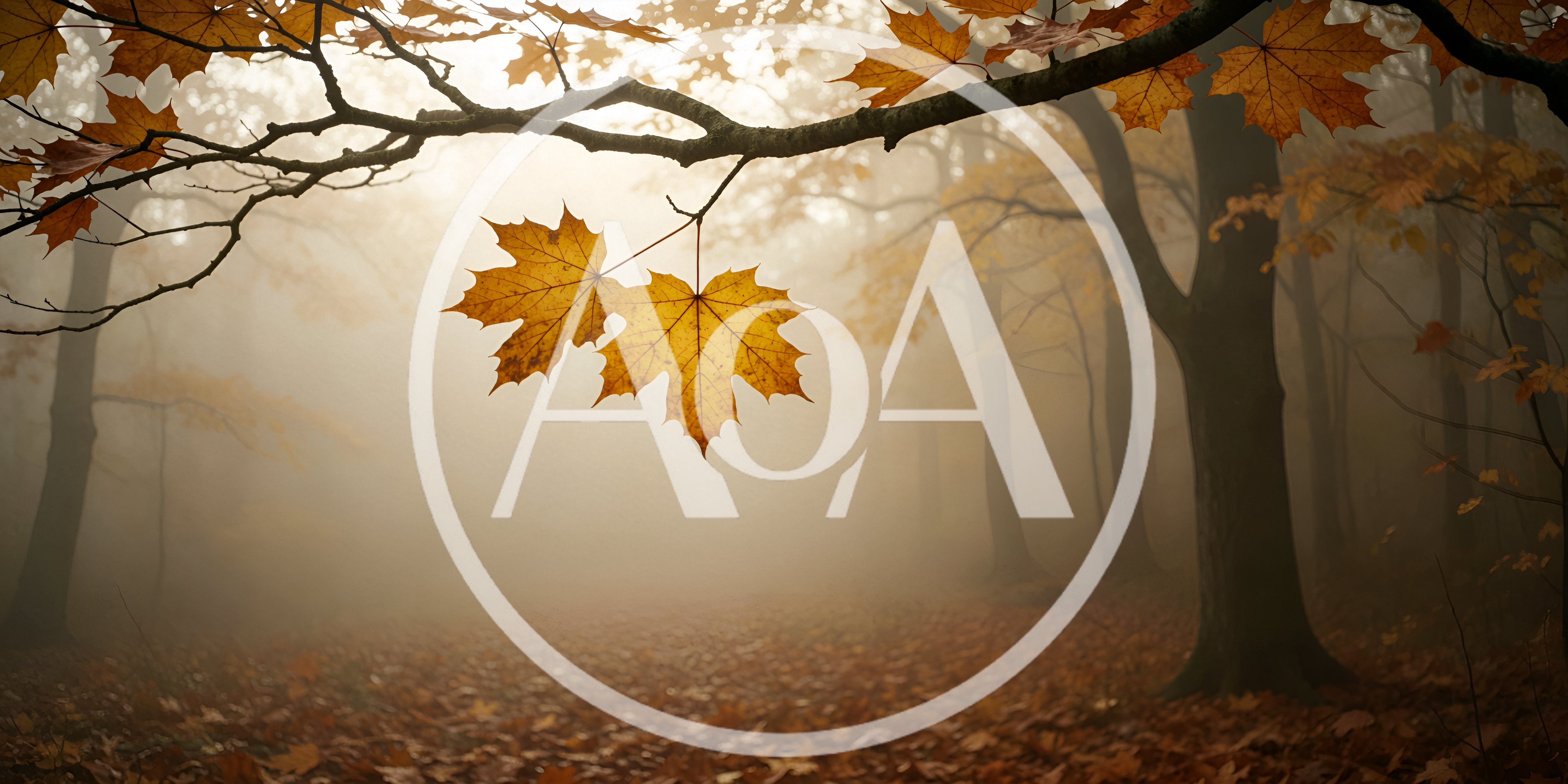 Two Golden Maple Leaves Hanging In A Misty Forest