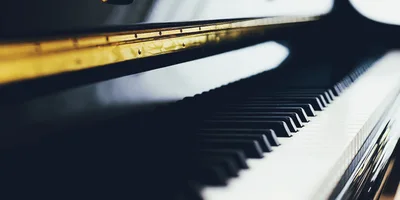 Close Up Of Grand Piano Keys And Gold Hinge