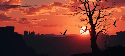 Silhouetted Birds Perched On A Dead Tree At Sunset