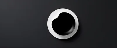 Minimalist Black Bowl On White Plate Top View