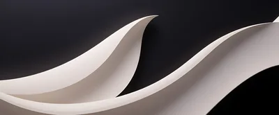 Abstract White Curved Paper Shapes On Black Background