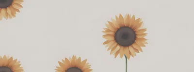Three Sunflowers Arranged Against A Minimalist Light Background