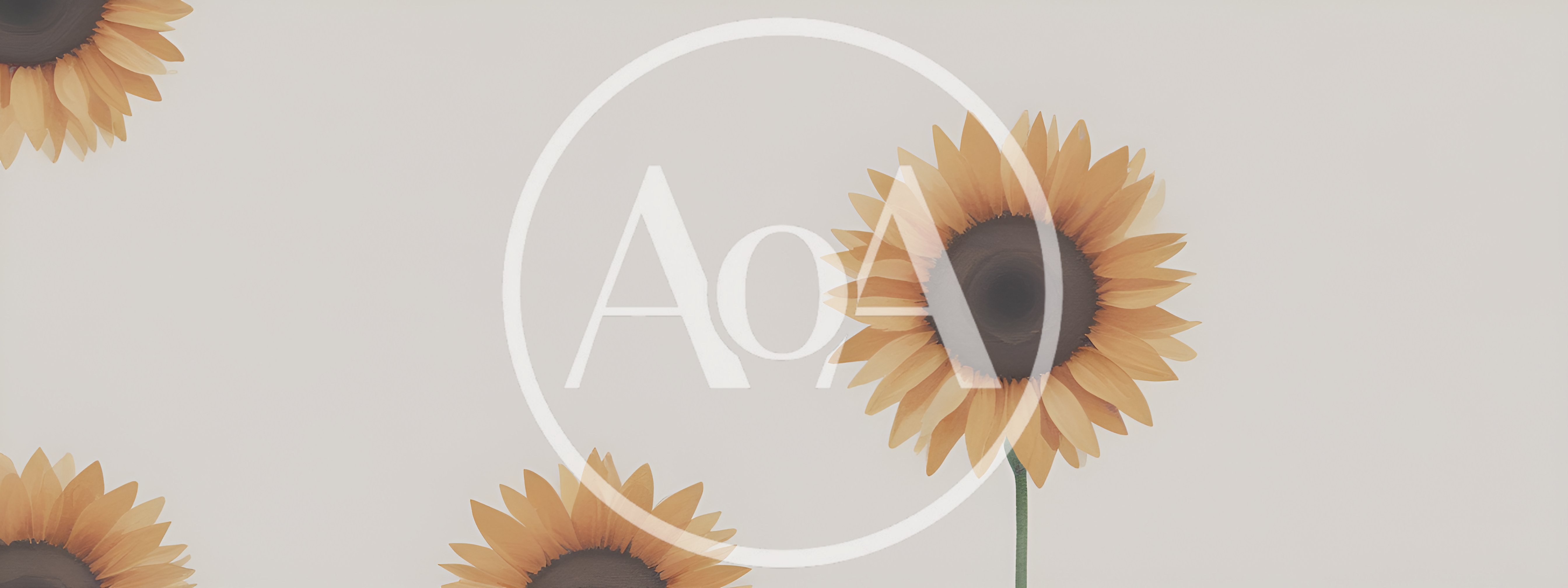 Three Sunflowers Arranged Against A Minimalist Light Background