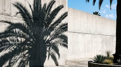 Palm Tree Shadow Cast On Concrete Wall