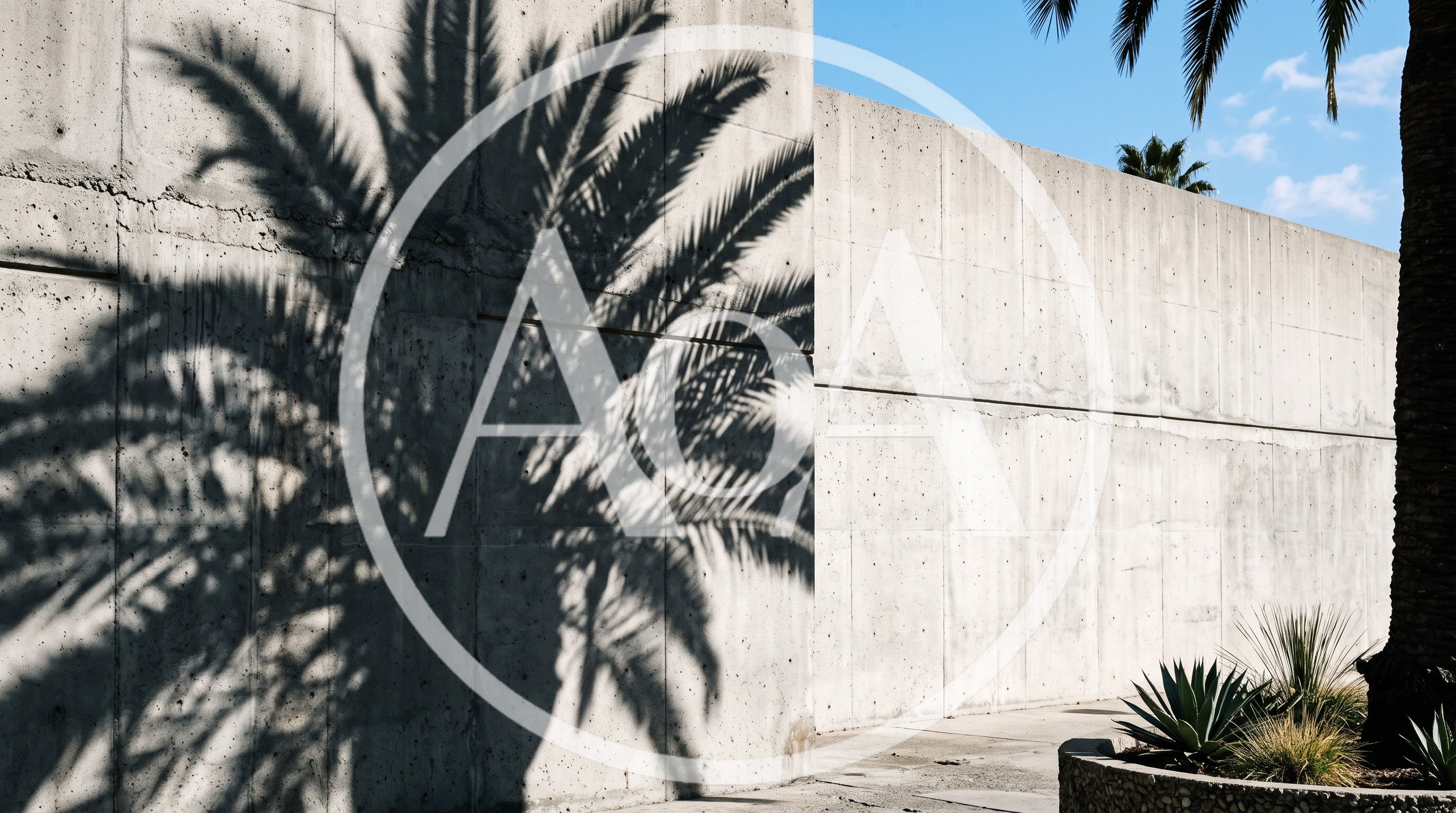 Palm Tree Shadow Cast On Concrete Wall