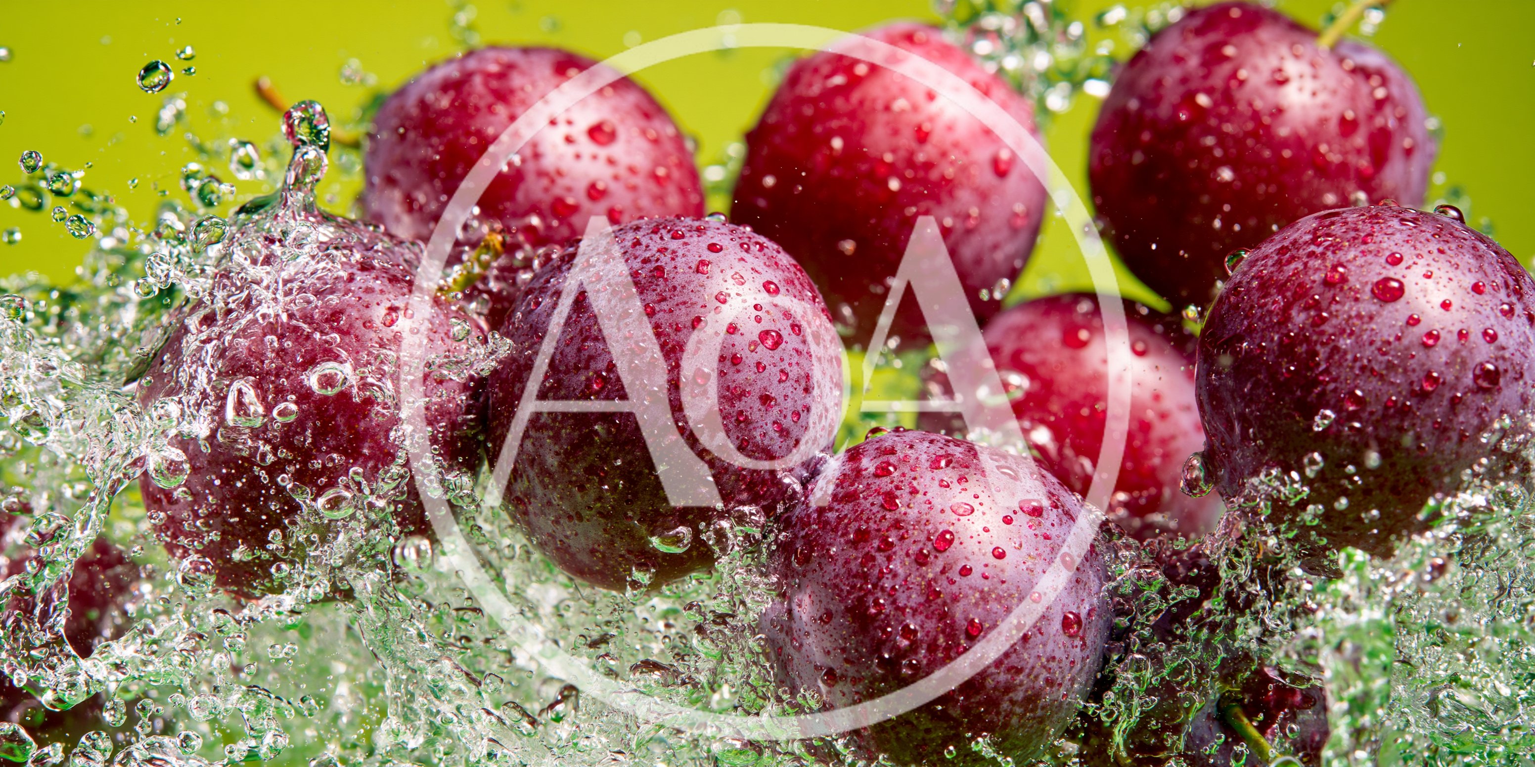 Fresh Plums Splashing In Water