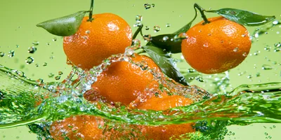 Fresh Tangerines Splashing Into Water