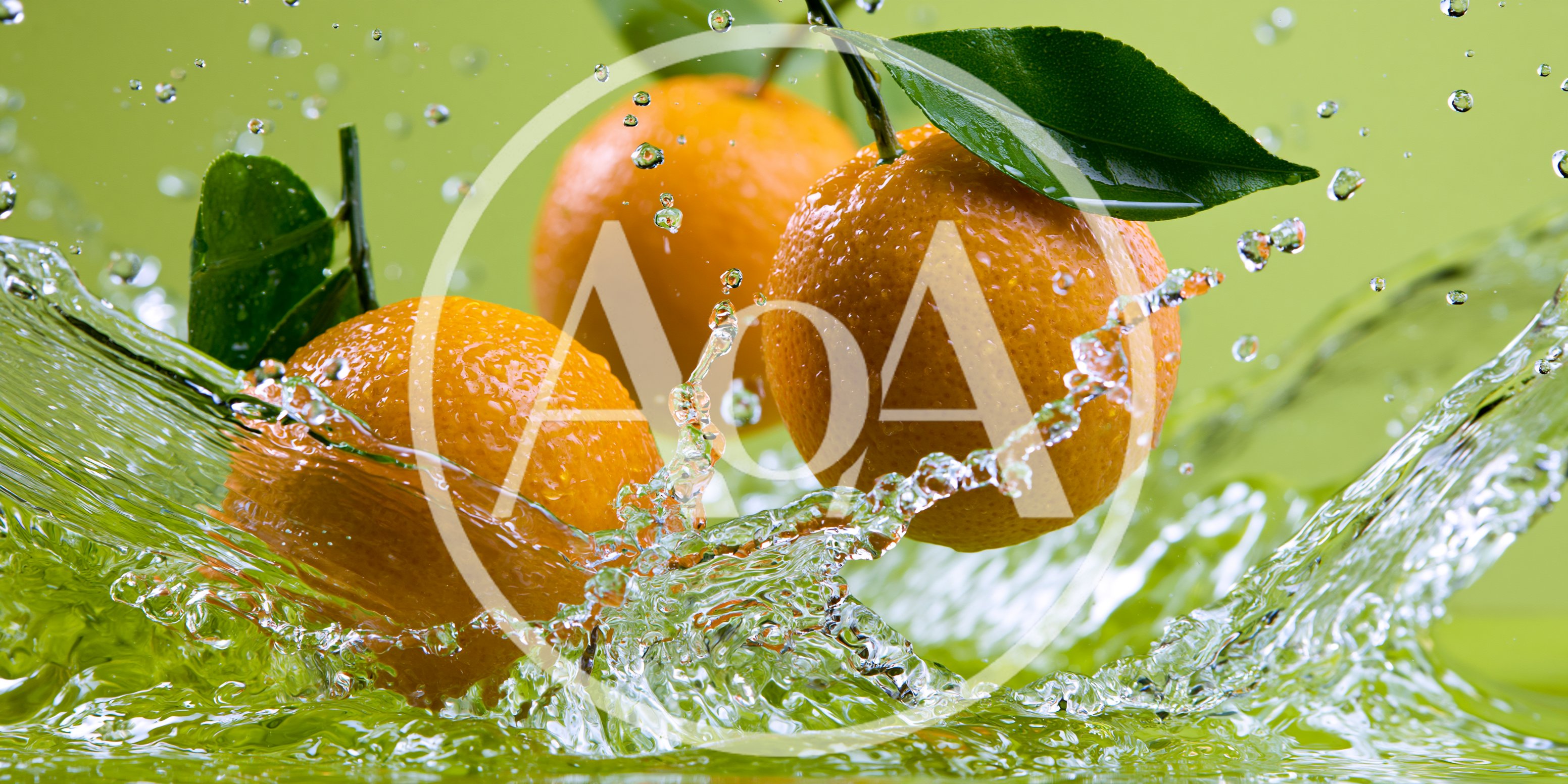 Fresh Oranges Splashing In Clear Water