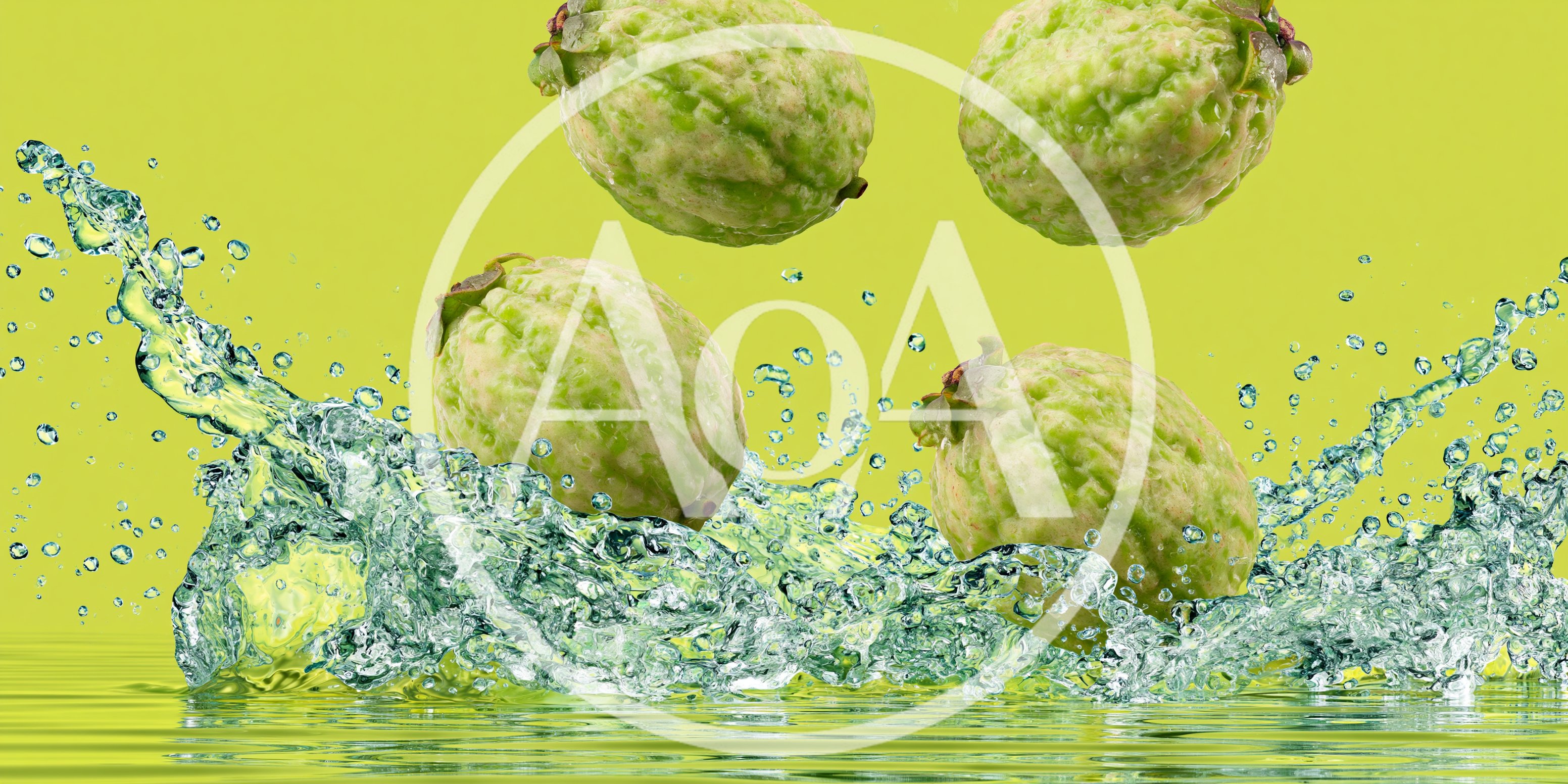 Fresh Guavas Falling Into Water Splash