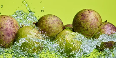 Fresh Guavas Splashing Into Water
