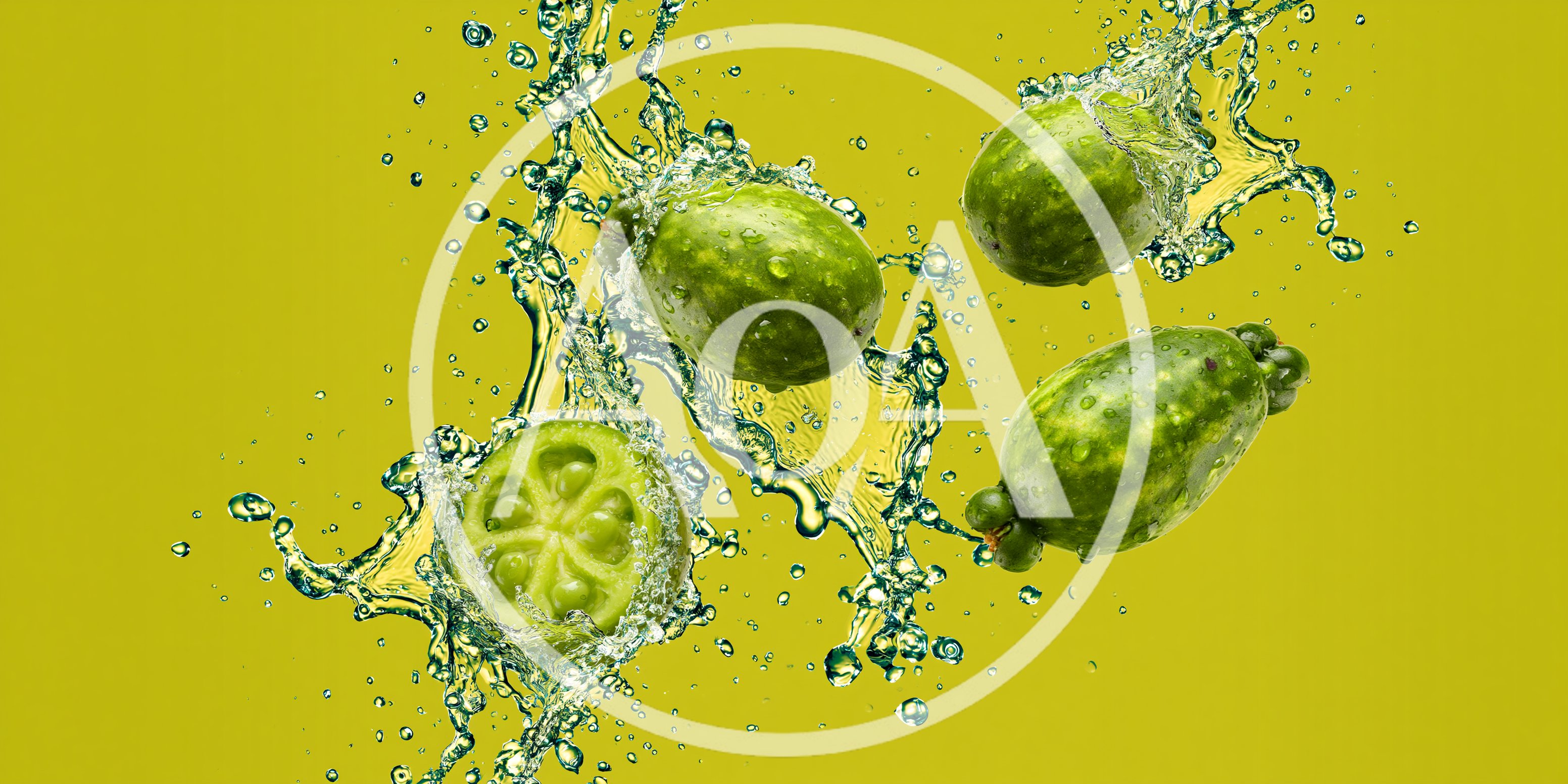 Fresh Feijoa Fruits Splashing In Water