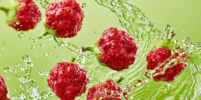 Fresh Red Kousa Dogwood Fruits Splashing In Water