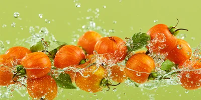 Fresh Tomatoes Splashing In Water On Green Background