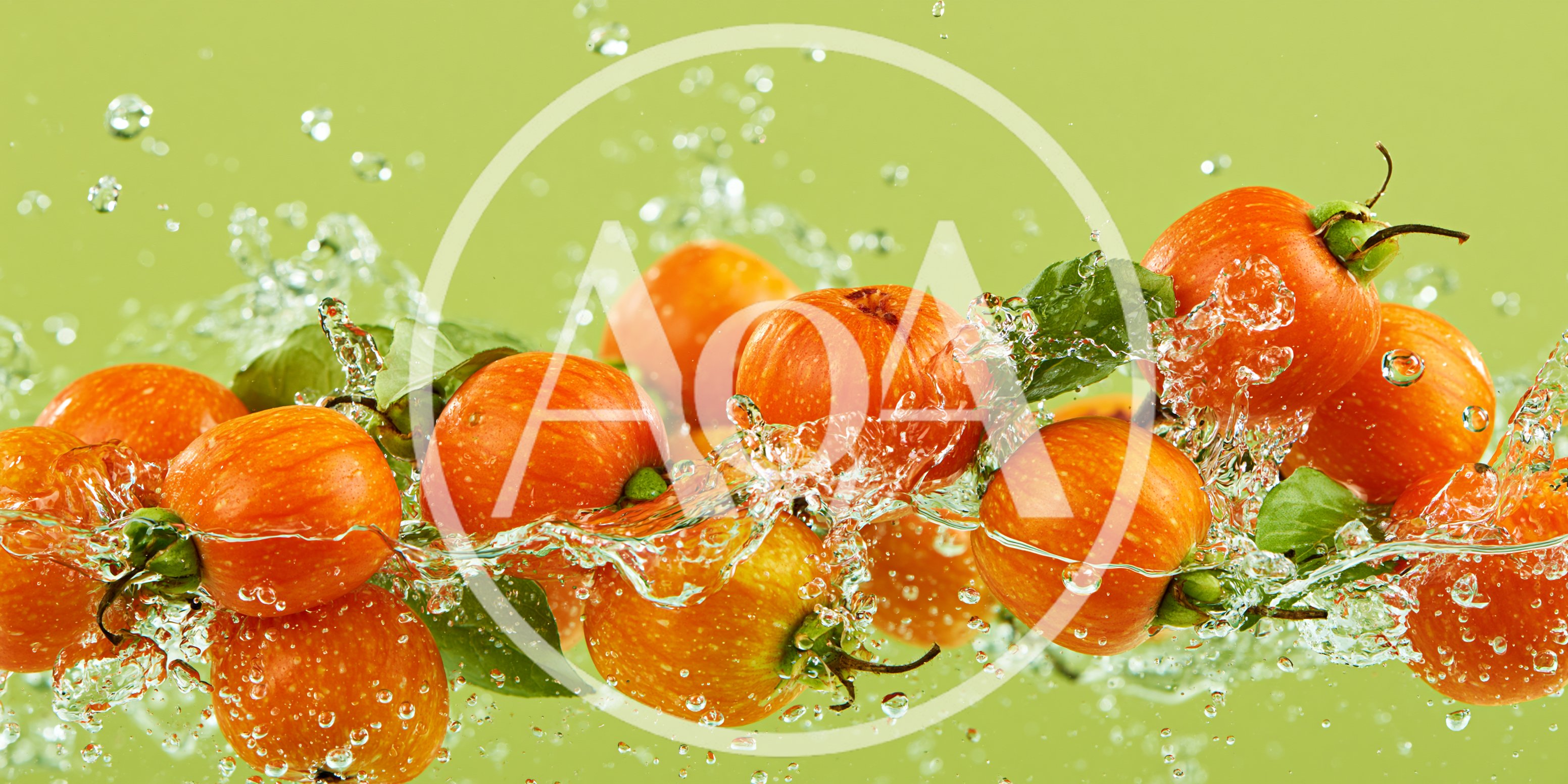 Fresh Tomatoes Splashing In Water On Green Background