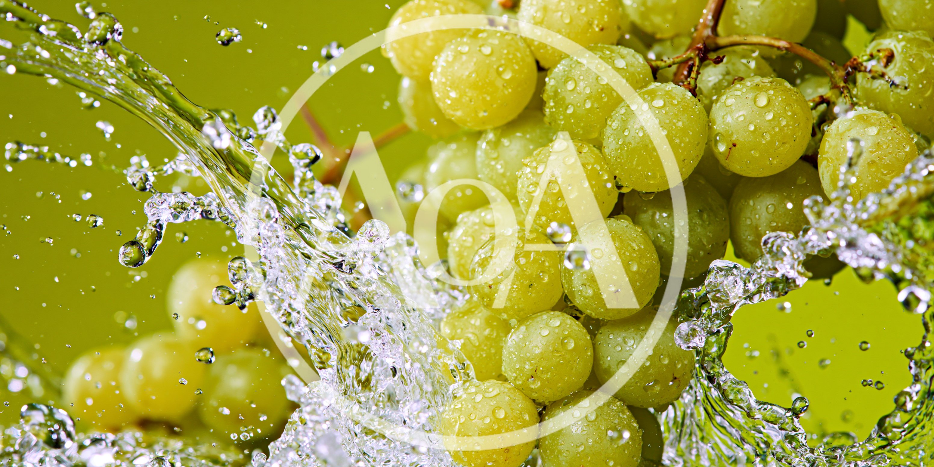 Fresh Green Grapes Splashed With Clear Water