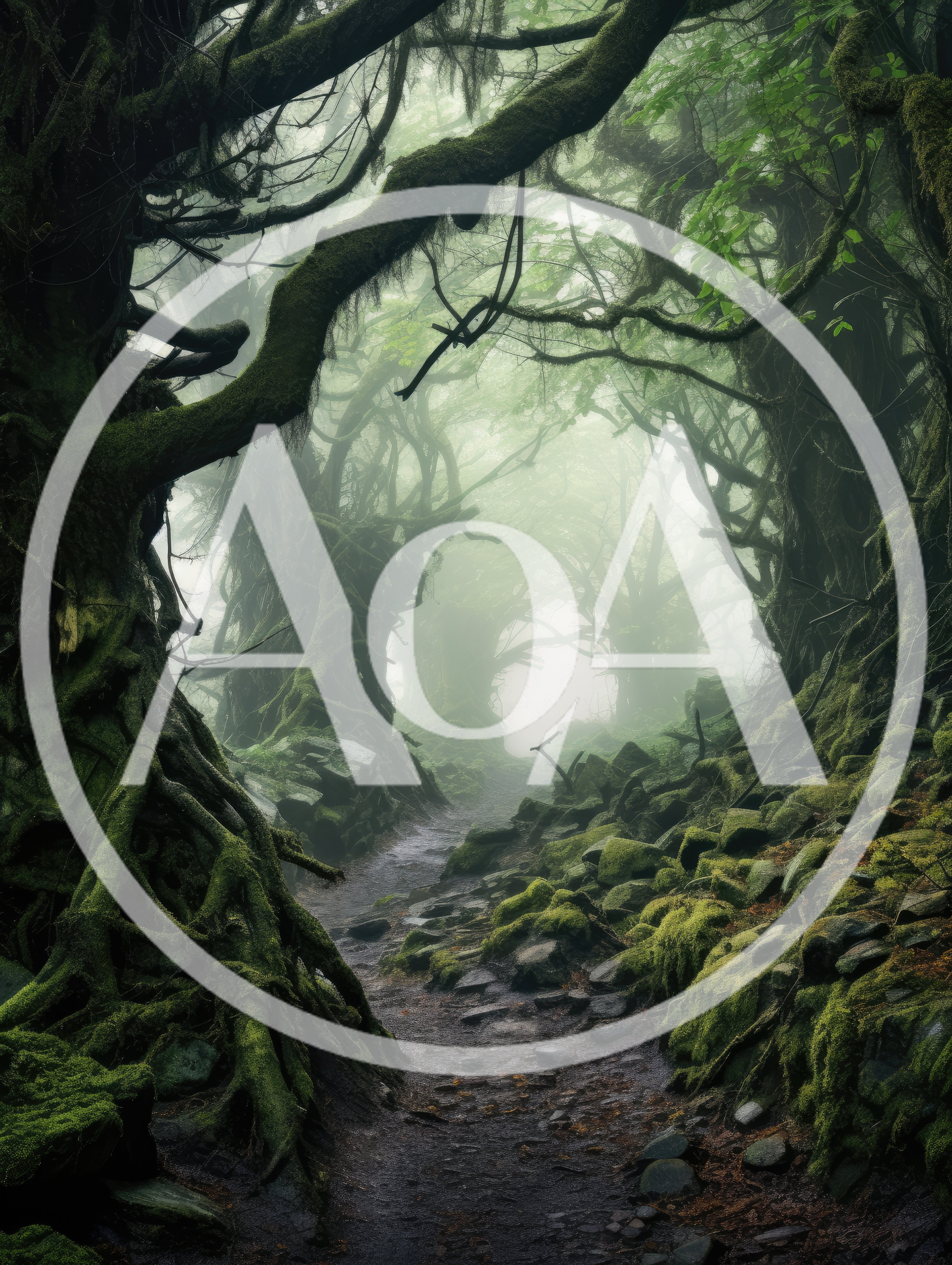 Ancient Mossy Forest Path In Thick Fog