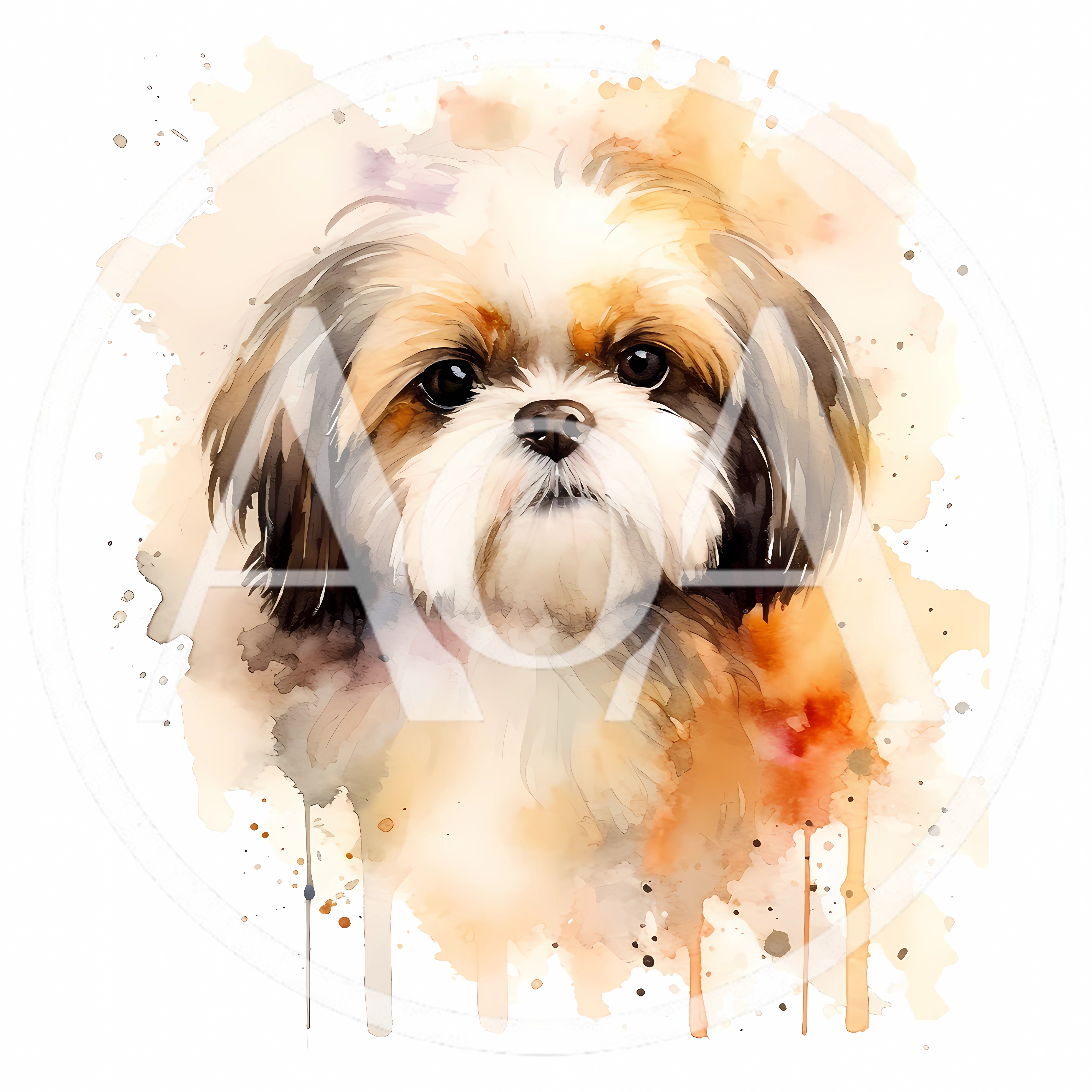 Watercolor Portrait Of A Shih Tzu Dog