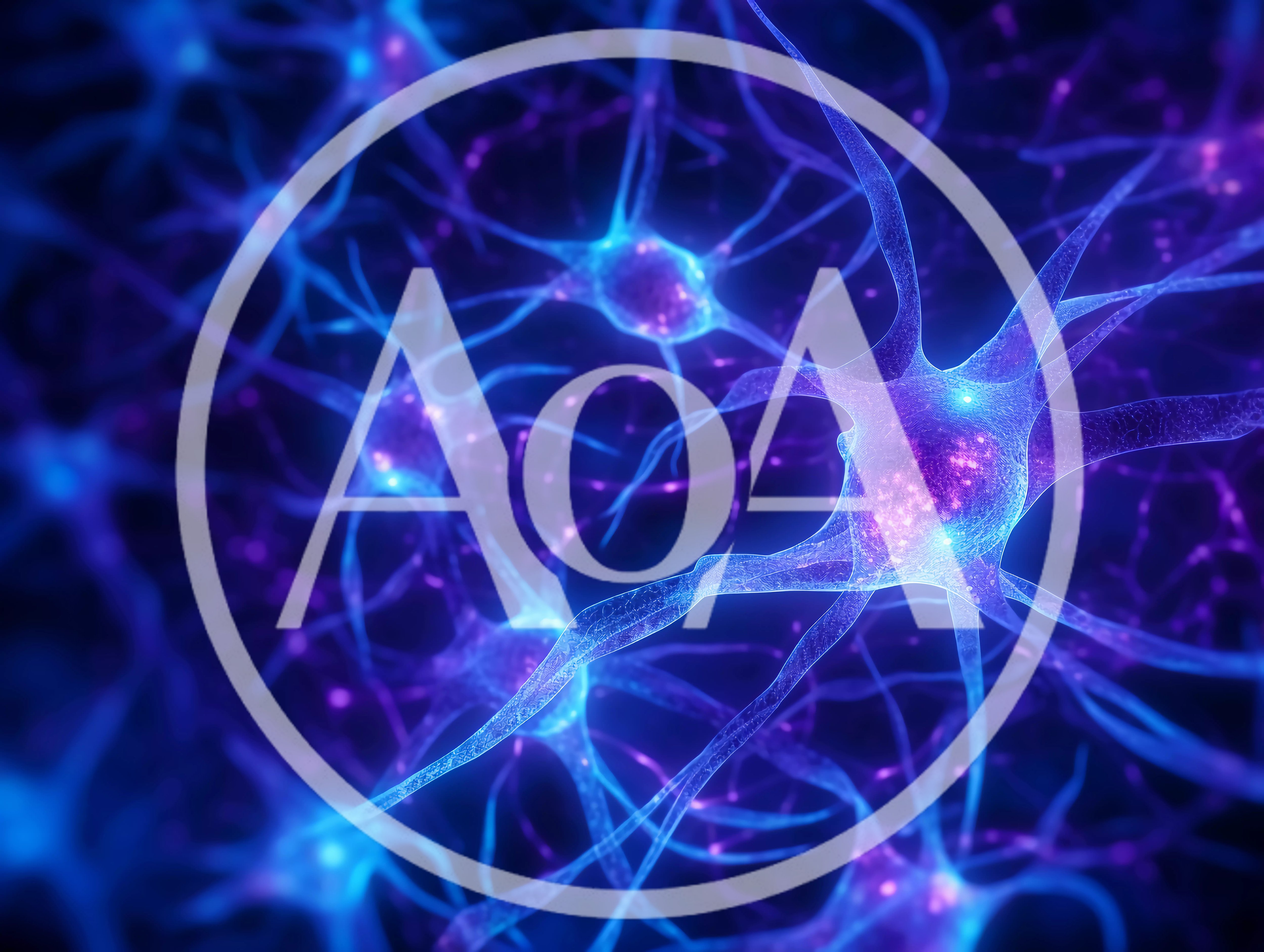 Neural Network Synaptic Connections In Human Brain